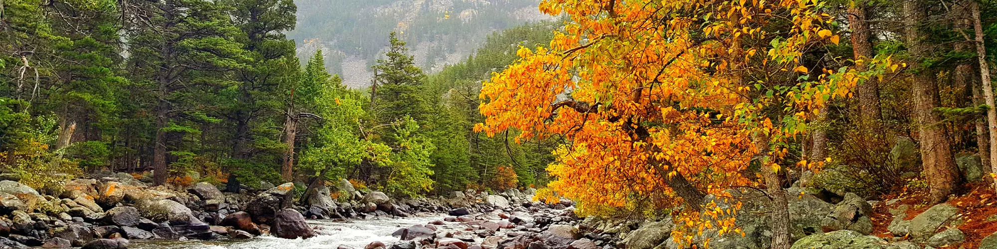 Montana